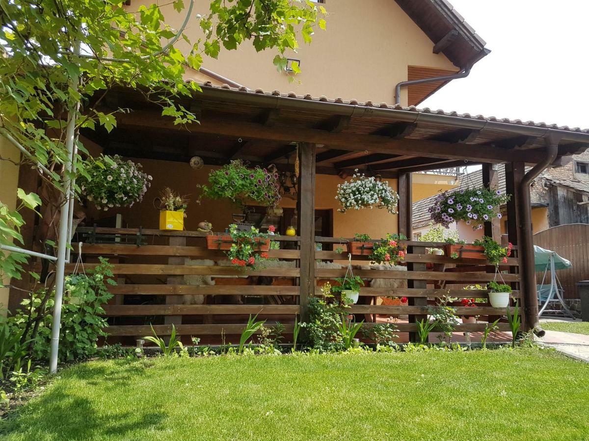 Casa Ovesia Villa Săcele Eksteriør billede